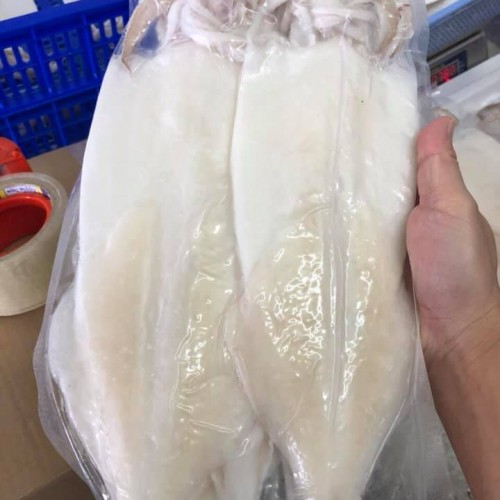 Mực Một Nắng Ngon Phú Yên Size Đại 3-4 con/ kg | Shopee Việt Nam