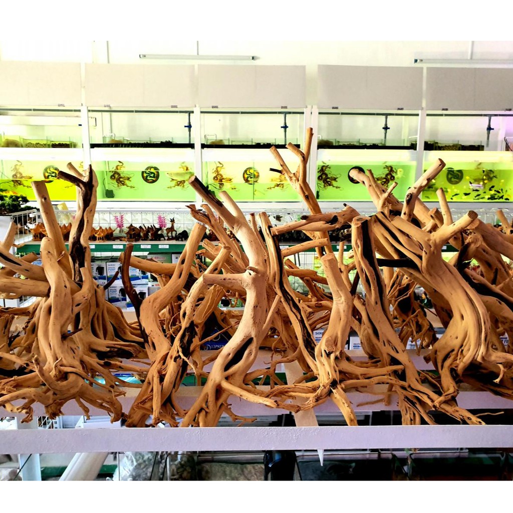 Gốc lũa bonsai thủy sinh, lũa gốc Hải Sơn Quỳ [Hàng đẹp giá rẻ]
