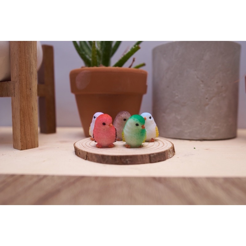 Phụ Kiện Chim bồ câu