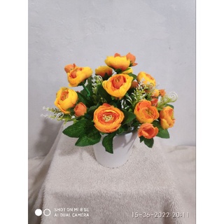 chậu hoa mini để bàn