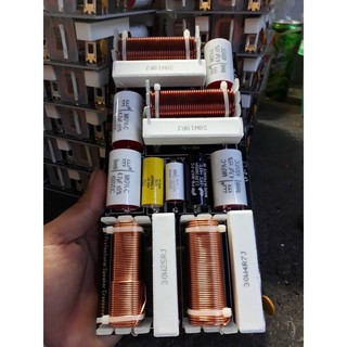Mạch lọc và phân tần loa đôi F215