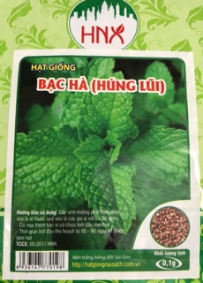 Hạt giống Húng bạc hà (húng lủi) ☘️