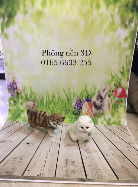 Phông nền chụp ảnh 3D sắc nét nổi bật