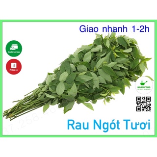 Rau Ngót Tươi ,Xanh, Sạch, Rau Xanh Đà Lạt Giao Nhanh 1-2h ( HCM)