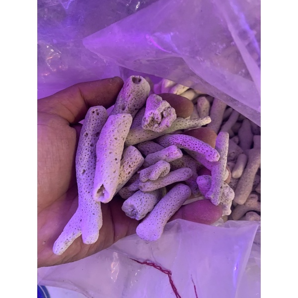 San hô vụn 1kg