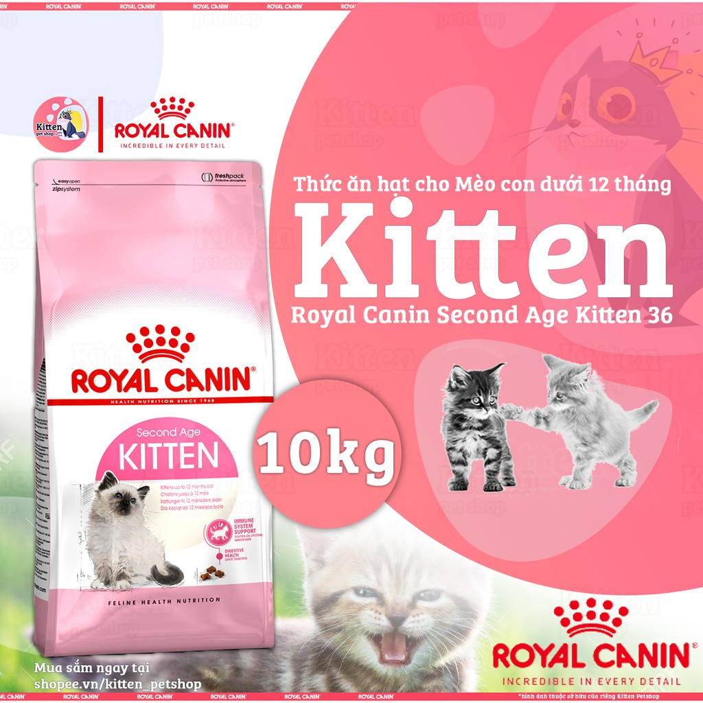 10kg - Hạt Kitten Royal Canin dành cho Mèo con từ 4 - 12 tháng tuổi - Royal Canin Kitten 36 Second Age(RE-PACK)