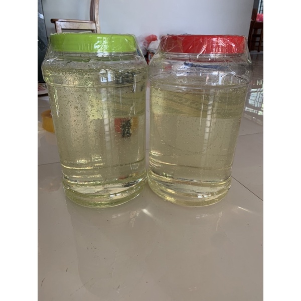 MẠCH NHA NGUYÊN CHẤT