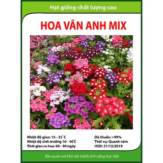 Hạt giống hoa Vân Anh - Gói 25 hạt