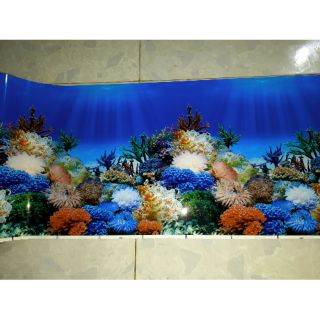 Tranh Trang Trí Bể Cá 2 mặt 40cm - Chủ Đề San Hô và Cây Thủy Sinh