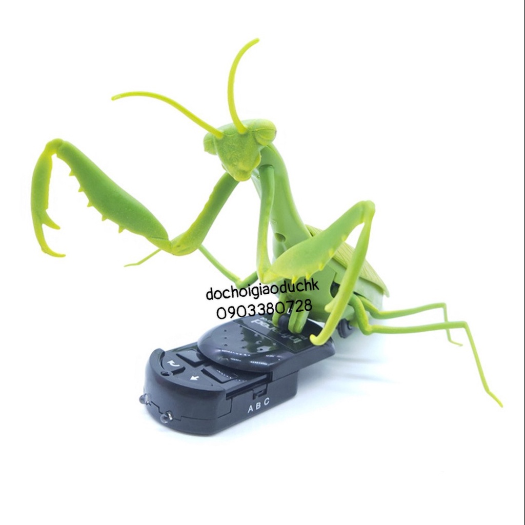 Đồ chơi điều khiển con bọ ngựa tặng kèm pin