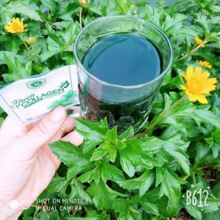 DIỆP LỤC COLLAGEN chính hãng công ty (có quà tặng kèm)