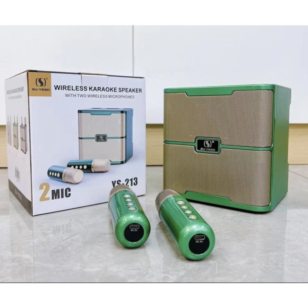 Loa bluetooth karaoke YS-213 - Tặng kèm 2 micro không dây [ BH 06 Tháng 1 đổi 1 ]