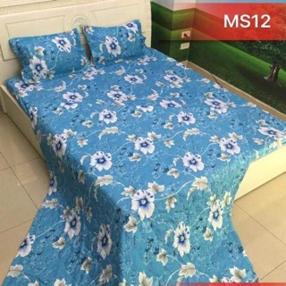 Bộ chăn ga gối poly ( đủ size )