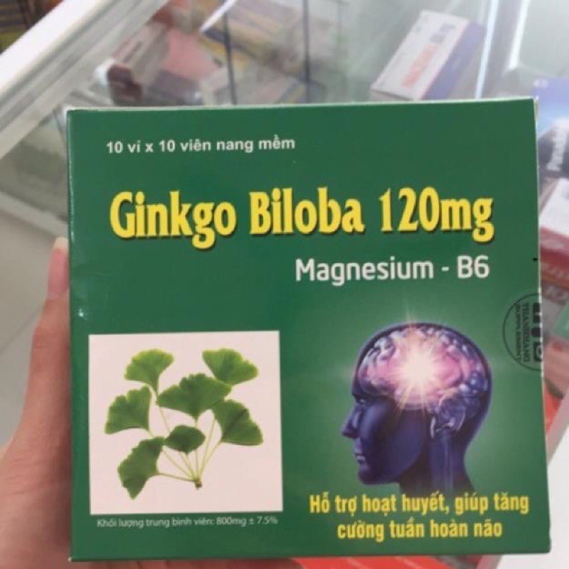 (Dược HN) Ginkgo Biloba 120mg Magnesium B6 (hộp 100 viên)