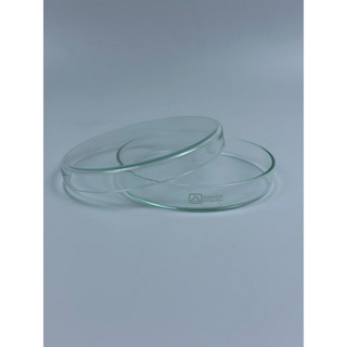 Đĩa petri thủy tinh phi 100/15