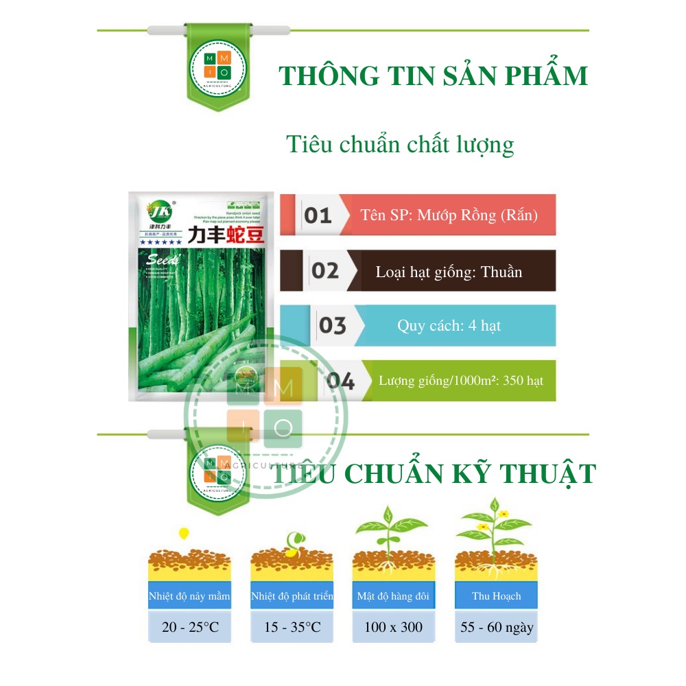 Hạt giống mướp rồng( rắn) Nhật Bản, lặc lè (lặc lày) dài siêu trái