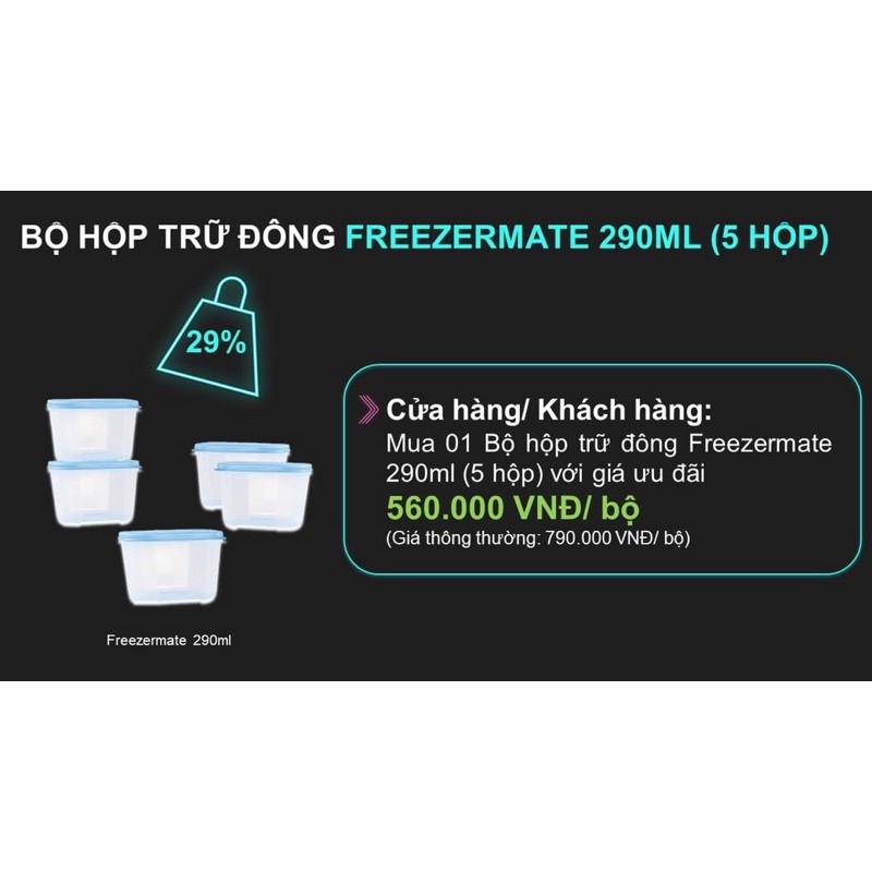 hộp trữ đông 290ml mini freezermate tupperware