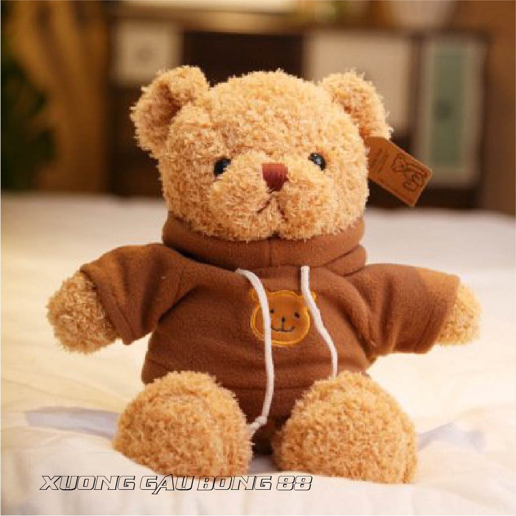 Gấu Bông Đồ Chơi cho bé Teddy Mặc Áo Hoodie Nhiều Màu Nhồi Bông Gòn  Cao Cấp Bao Xinh