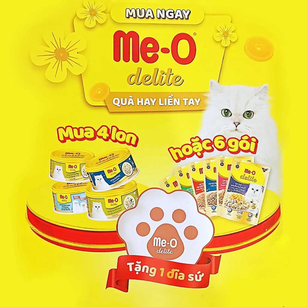 Bát ăn cho mèo, đĩa sứ - Phụ kiện thú cưng Hà Nội