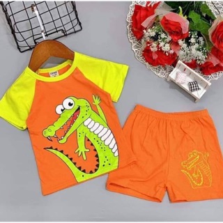Bộ thun cotton bé trai