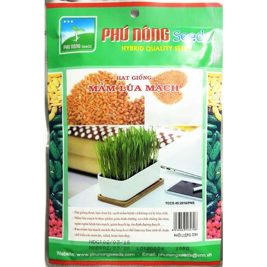 Hạt giống MẦM LÚA MẠCH | 100g