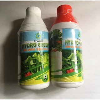 Dinh dưỡng Thủy Canh Hydro GREEN ( 1 lít A và 1 lít B) - Dung Dịch Trồng Rau Ăn Lá
