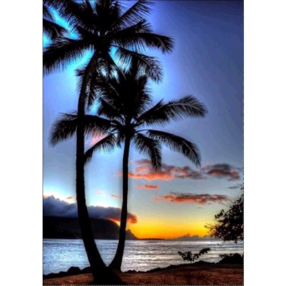 Bộ tranh đính đá 5D tự làm họa tiết hình phong cảnh 30*40cmi