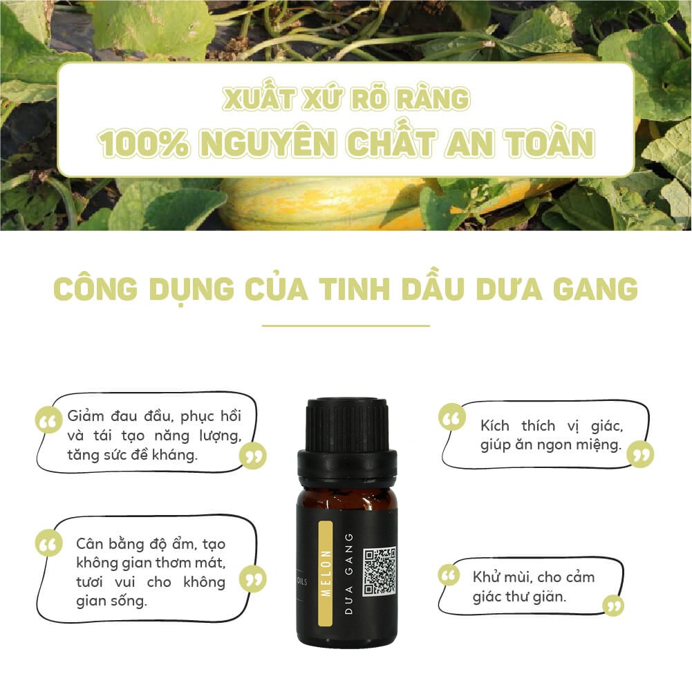 Tinh Dầu Dưa Gang 10ml Viet Oils