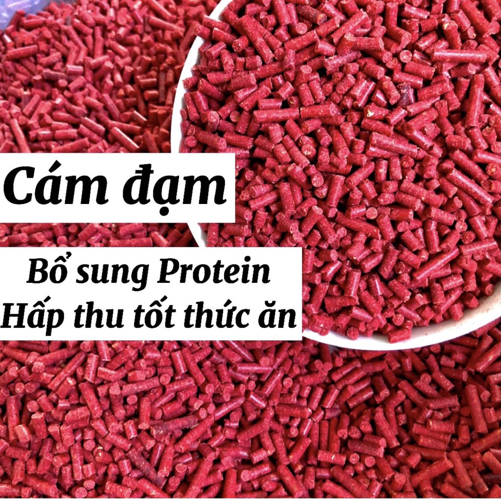 Cám đỏ đạm cho gà đá, thức ăn bổ sung đạm cho chiến kê