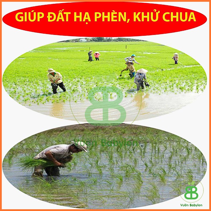 Phân Bón Lân Lâm Thao 500G Cho Mọi Cây Trồng