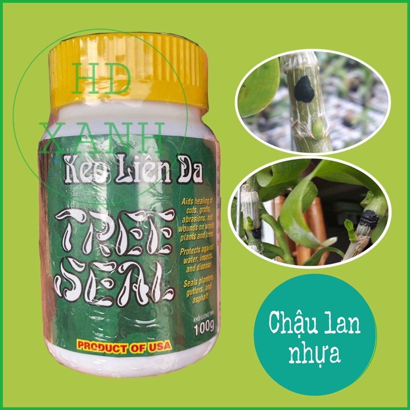 [ HOT ] Keo Liền Da Cây Mỹ Tree Seal Morrisions Làm Liền Sẹo Cây Lọ 100 Gram