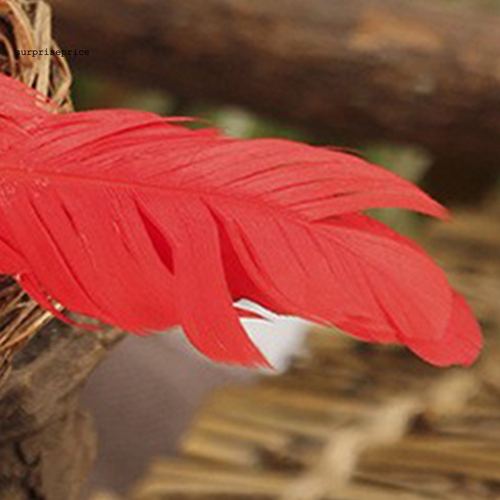 Tổ chim nhân tạo dùng trang trí nhà cửa đẹp mắt