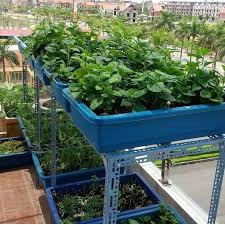 Kệ sắt trồng rau thông minh 2 tầng dùng cho tất cả các loại khay và thùng xốp tận dụng trồng rau sạch