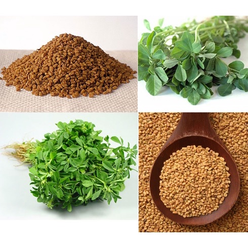 Viên uống lợi sữa cỏ cà ri Natures Aid Fenugreek, viên uống tăng cường dưỡng chất trong sữa cho mẹ - Monnie Kids