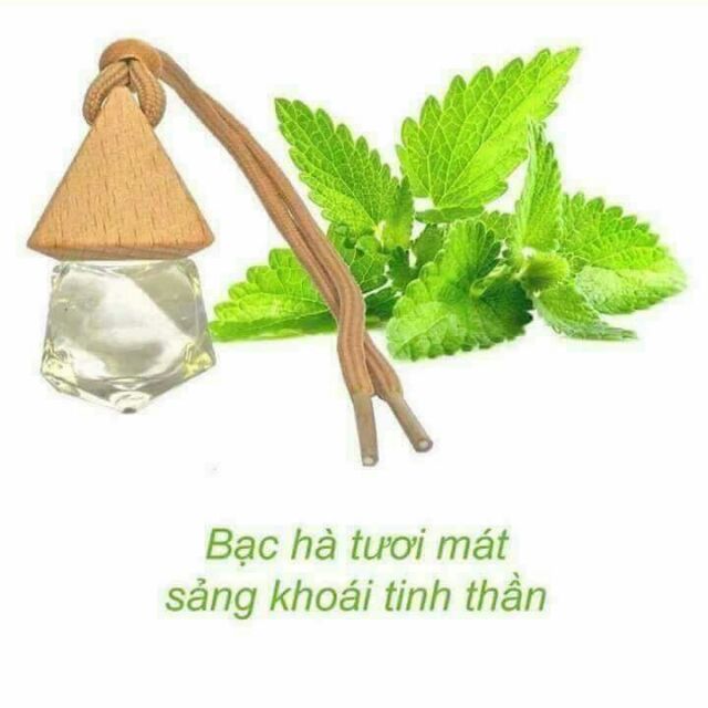 Tinh dầu bạc hà tươi sáng hơn mát lạnh cho bạn cảm giác thoải mái và dễ chịu hơn mỗi khi bước vào phòng đấy ạ