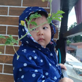 Áo gió bé gái xuất xịn #Place