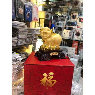 Heo Vàng Phong Thủy