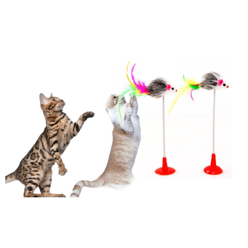CHUỘT DÍNH như LÒ XÒ - đồ chơi cho mèo