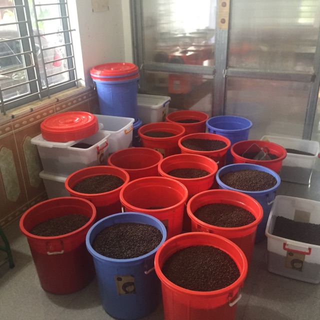 Combo 5kg Cà Phê Nguyên Chất Rang Mộc Chậm Coffee – Yêu Thương 250g (Không kèm phin) | BigBuy360 - bigbuy360.vn