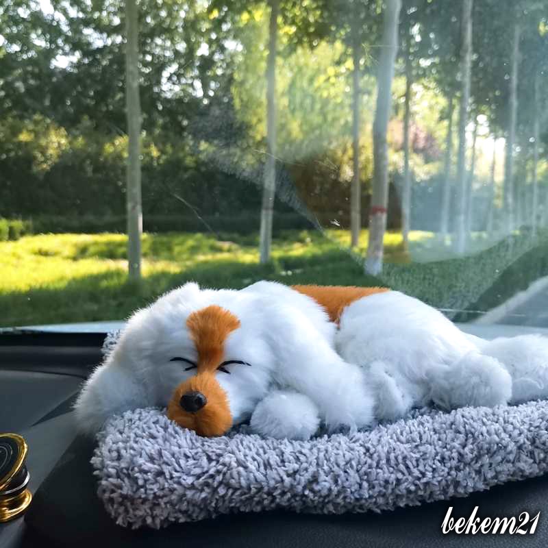 [LOẠI TO] Thú bông GIỐNG THẬT 99% chó mèo sói gấu lõi than hoạt tính lọc không khí khử mùi trang trí xe hơi ô tô | BigBuy360 - bigbuy360.vn