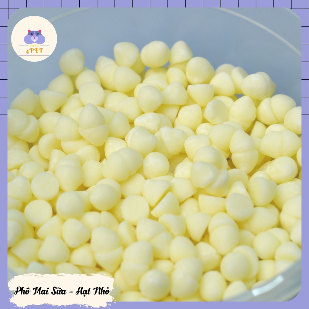 Phô Mai Sữa cho Hamster