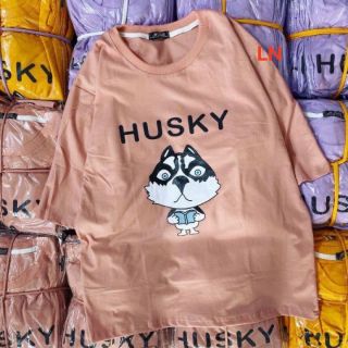 Áo phông chó husky