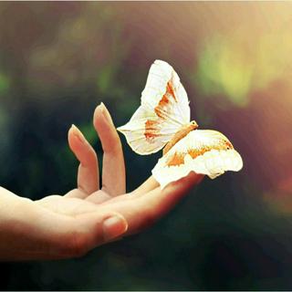 Quỳnh Anh🐬 🦋