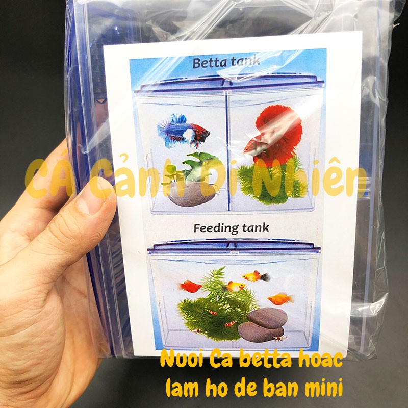 Bể nhựa nuôi cá Betta mini 2 in 1, hồ cá để bàn size 18x14x10 cm