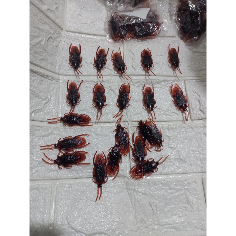 Combo 5/10/12 con gián giả - con dán