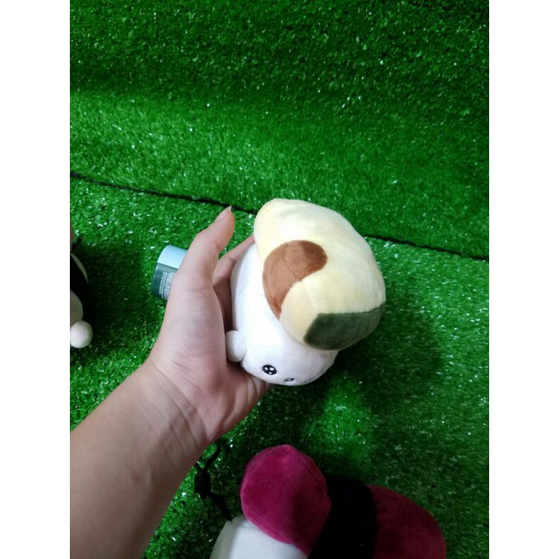 Gấu bông Sushi cơm cuộn Hàn Quốc