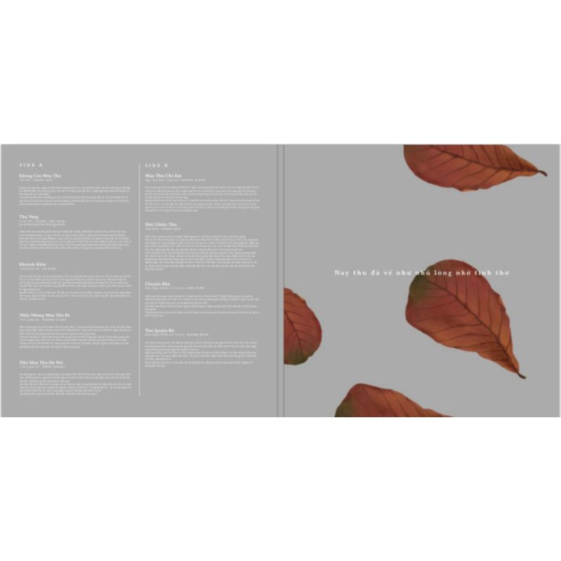 Đĩa than vinyl Một Chiều Thu - phát hành 31/12