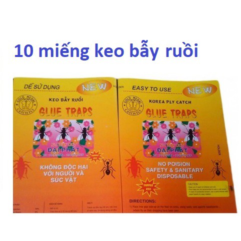 Keo bẫy ruồi Korea Fly Catch (10 miếng) - Nhập khẩu hàn quốc, không khô khi trời lạnh, không chảy khi trời nóng