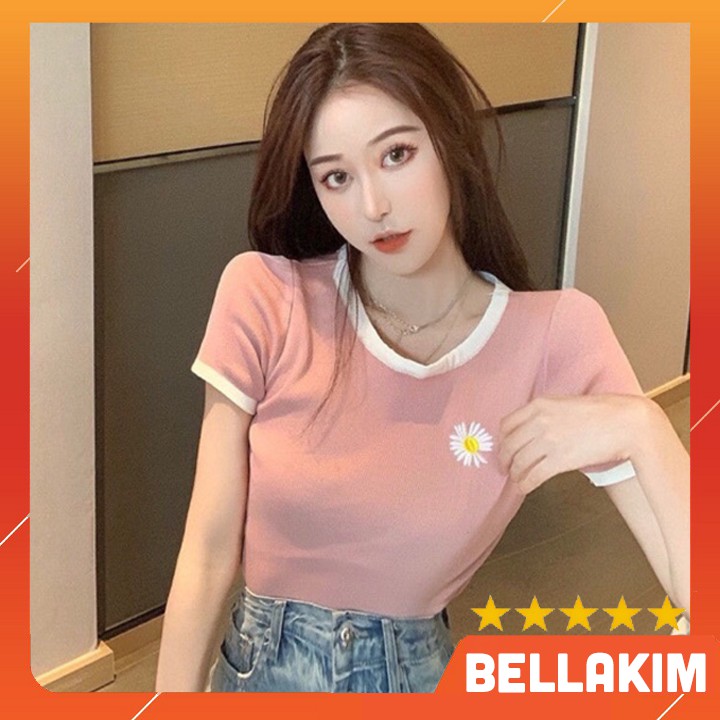 Áo thun borip viền màu thêu hoa HÀNG Y HÌNH 100%