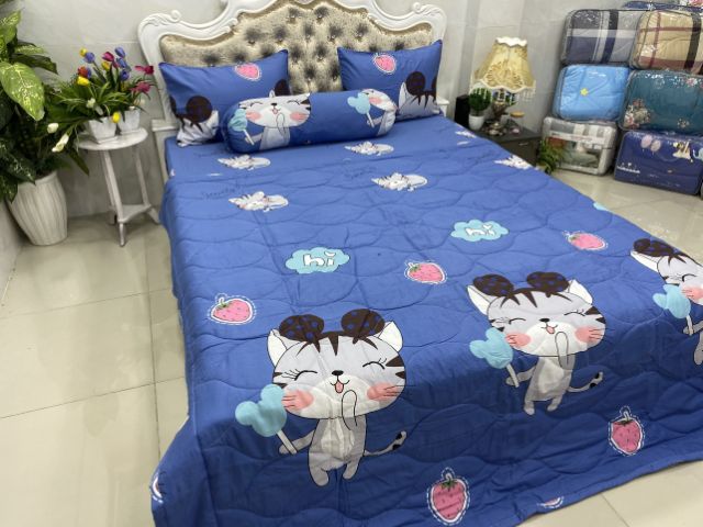 BỘ DRAP COTTON HÀN QUỐC 4 MÓN 100% COTTON